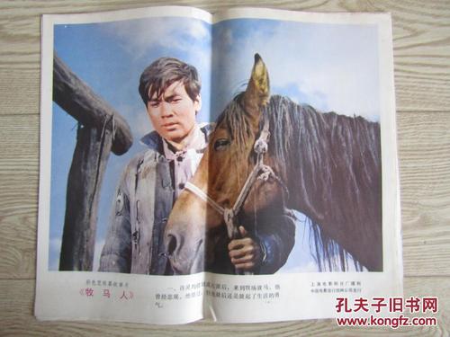 荷兰开放大学学位证